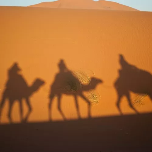 La liberté et la sérénité du désert marocain La liberté et la sérénité du désert marocain Visuel